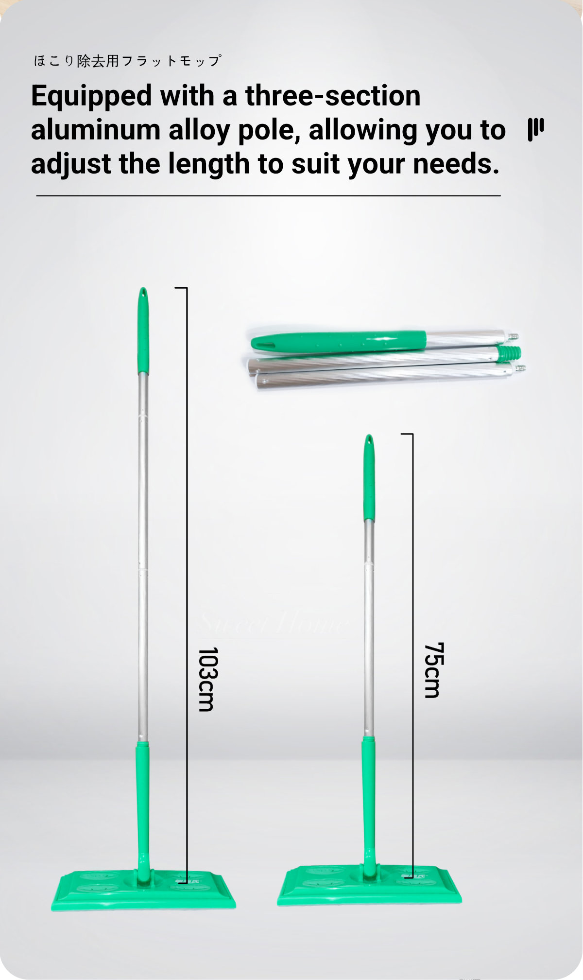 Clean Family-Dust Removal Flat Mop-3